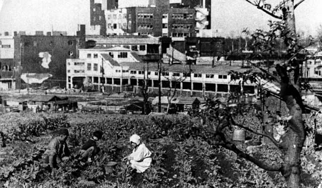 農地に転用された渋谷の焼けあと（現在のセルリアンタワー付近）(1945年) 