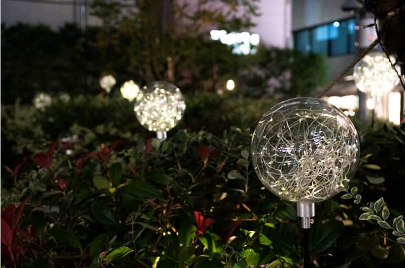 ｂｏｔａｎｉｃａｌ ｌｉｇｈｔによるイルミネーション演出