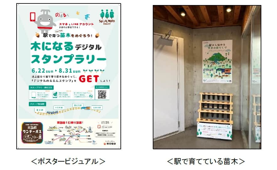 ポスター画像、苗木