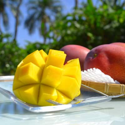 フルーツの画像