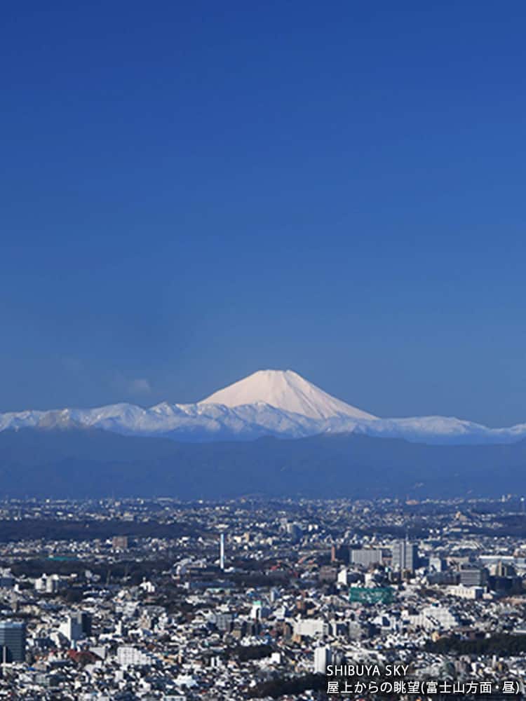 SHIBUYA SKY 屋上からの眺望(富士山方面・昼)