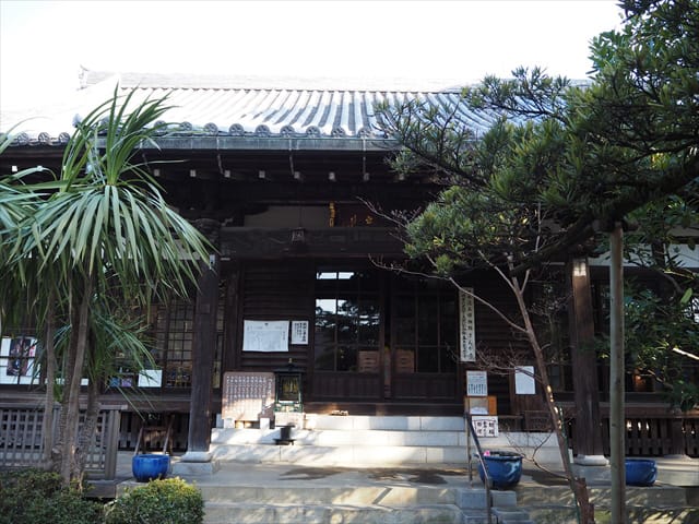 武蔵小杉駅 沿線 駅周辺情報 東急株式会社