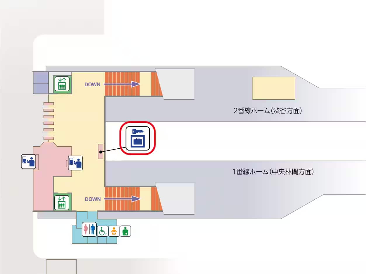 つきみ野