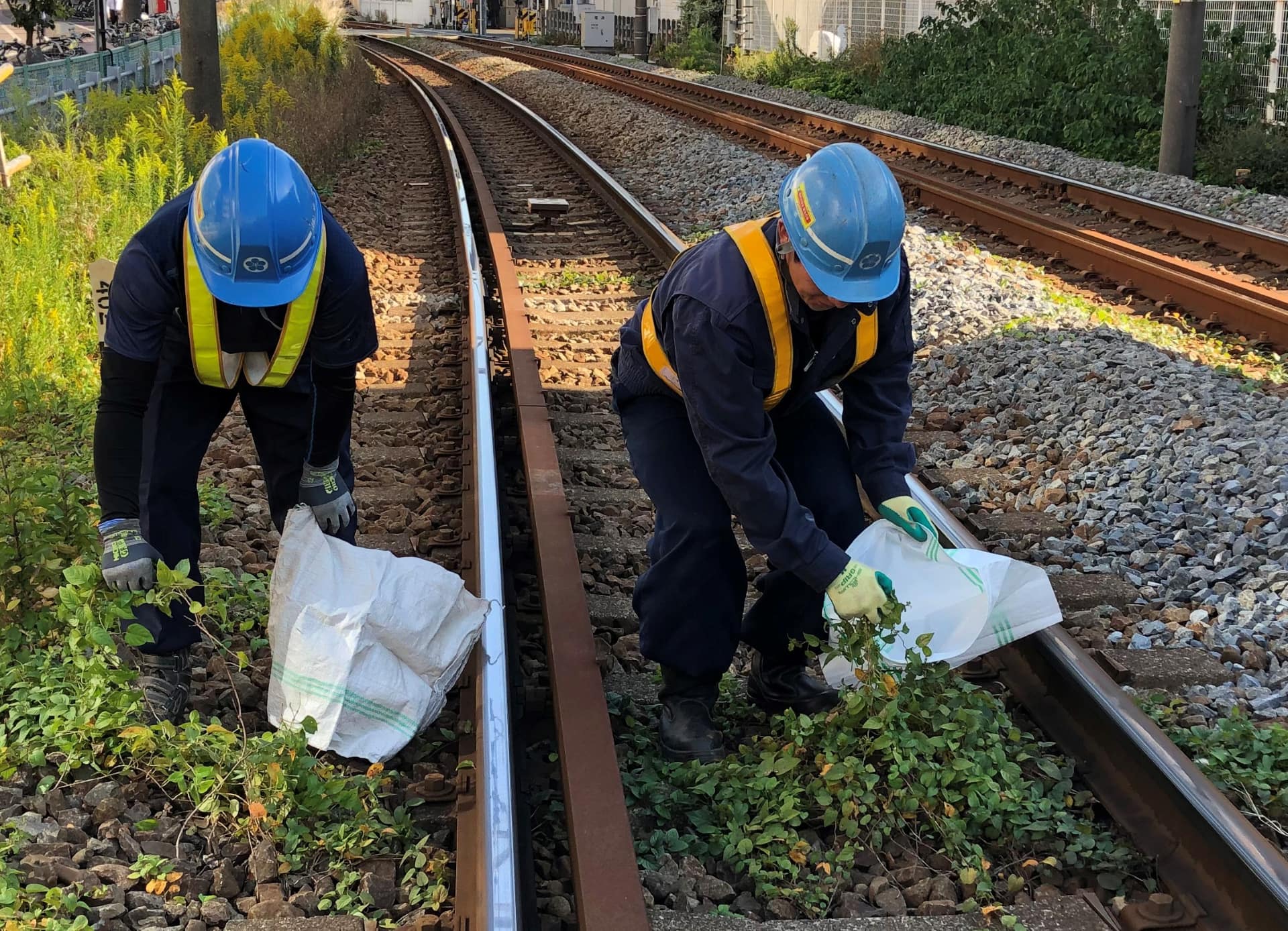 安全運行に必要な除草作業