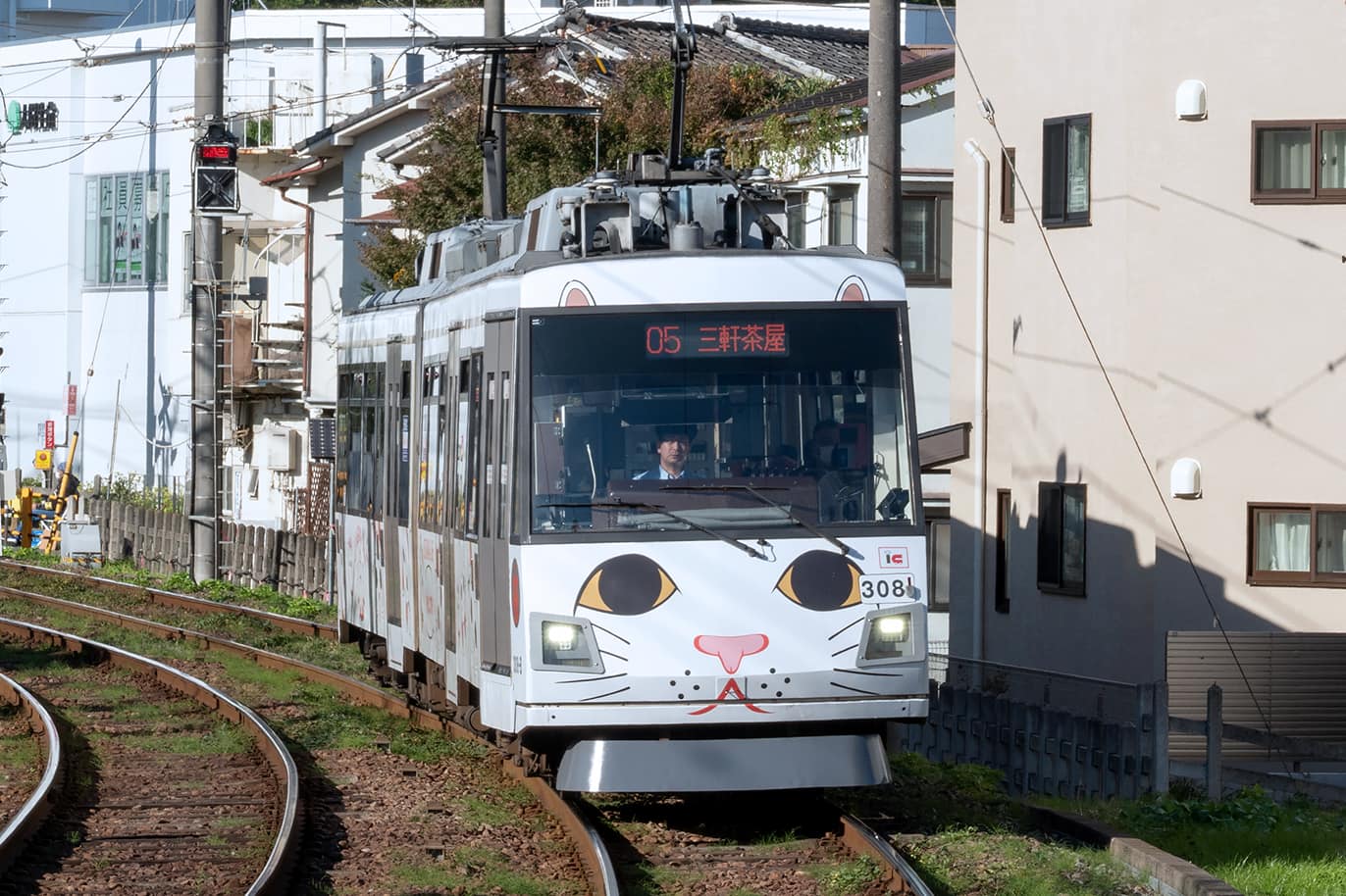 幸福の招き猫電車