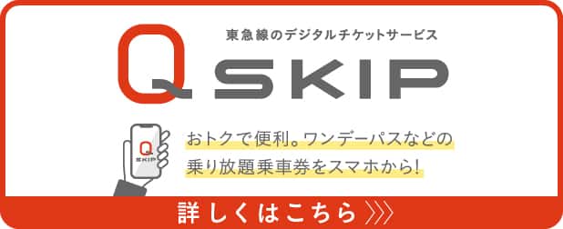 QSKIP