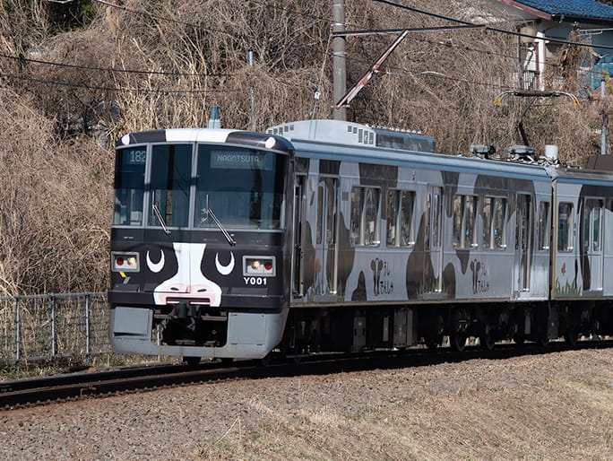 うしでんしゃ