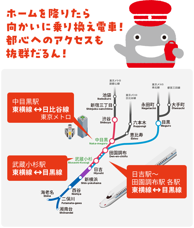 ホームを降りたら向かいに乗り換え電車！ 都心へのアクセスも抜群だるん！ 中目黒駅 東横線↔︎日比谷線 東京メトロ、武蔵小杉駅 東横線↔︎目黒線、日吉駅〜田園調布駅 各駅 東横線↔︎目黒線